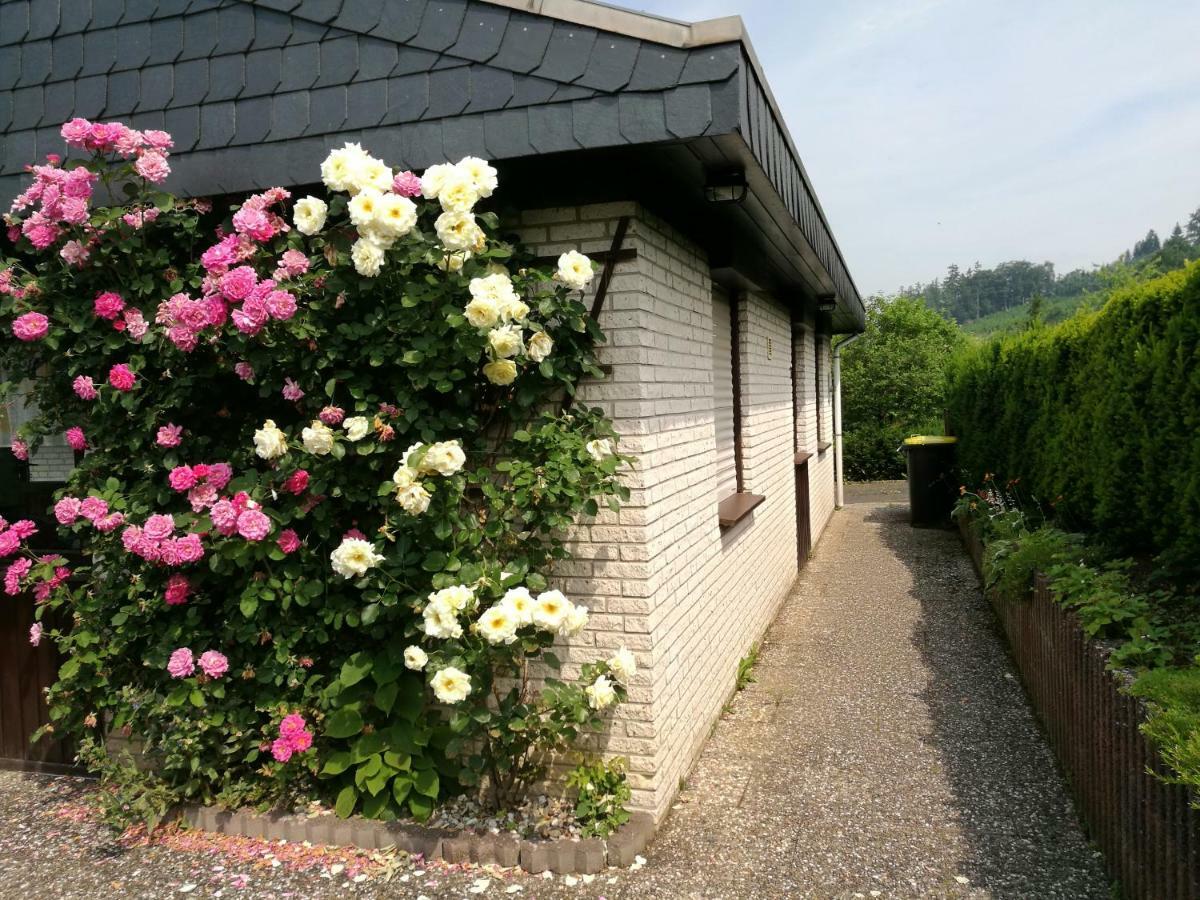 Ferienhaus Bianca Meschede Buitenkant foto